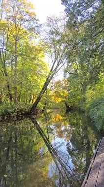 Huzurlu bir nehir kenarı sahnesinde canlı bir sonbahar yeşilliği sergileniyor. Huzurlu suları yansıtan Hannover Maschsee.