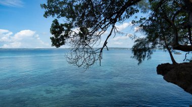 Berrak mavi suları olan sakin bir sahil manzarası ve rahatlamak ve Zanzibar Afrika 'yı gevşetmek için mükemmel bir ağaç hattı.