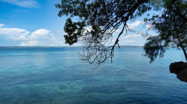 Şaşılacak derecede sakin bir kıyı sahnesi kristal berrak suları, geniş mavi gökyüzünü ve gür yeşil Afrika Zanzibar 'ı gösteriyor.
