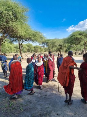 Masai bireylerinin güzel bir doğal ortam olan maasai tarangire tanzanya Afrika 'da bir araya gelişini gösteren canlı ve canlı bir sahne.