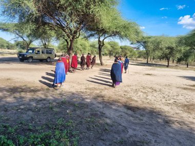 Canlı bir Maasai grubu, huzurlu ve huzurlu bir manzarada ağaçların altında neşeyle birlikte yürüyor.