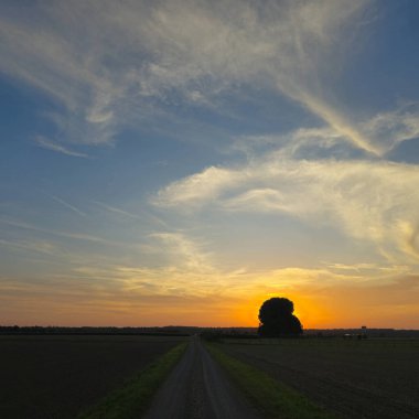 Huzurlu ve huzurlu bir günbatımı sahnesi renkli bir ufka doğru uzanan dolambaçlı bir yol ile resmedilir.