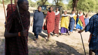 Canlı ve renkli bir Masai topluluğu, zengin kültürlerini dışarıda, Tarangire Ulusal Parkı Tanzanya Afrika 'da kutlarken geleneksel giysiler giyer.