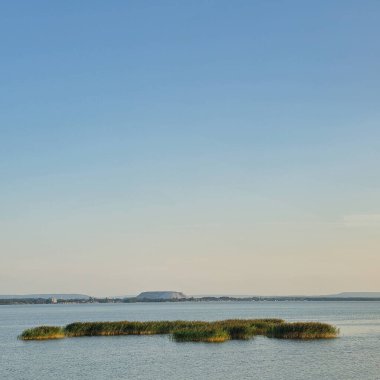 Berrak, parlak mavi gökyüzünün altında küçük, yemyeşil bir adaya sahip sakin bir su manzarası.