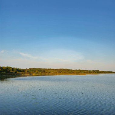 Berrak ve sakin bir göl. Berrak mavi gökyüzünü yansıtırken yemyeşil ve canlı yeşilliklerle çevrili.