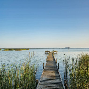 Bereketli sazlıklar ve açık bir gökyüzü olan Steinhuder Meer ile çevrili sakin sulara uzanan ahşap bir iskele manzarası.