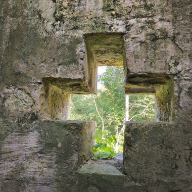 Yıpranmış taş bir duvarda güzel işlenmiş çapraz şekilli bir pencere sergileniyor. Canlı yeşil çerçeveli Deister Bad Nenndorf