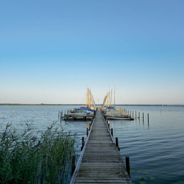 Huzurlu ve huzurlu bir ahşap rıhtım bereketli, canlı doğayla çevrili sakin sulara kadar uzanır.