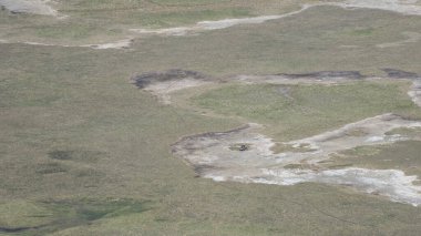 Ngorongoro Tanzanya Afrika 'da büyüleyici toprak desenleri ve çeşitli dokular sergileyen soyut arazilerin dünyasını eşeliyorlar.