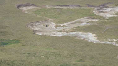 Havadan bakıldığında, yemyeşil bir arazi olan Ngorongoro Tanzanya Afrika 'da bulunan eşsiz toprak şekillerinin çarpıcı bir görüntüsü vardır.