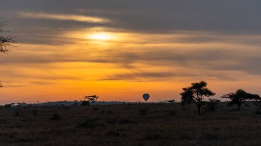 Nefes kesen bir gün doğumu Afrika ovasını aydınlatıyor. Huzurlu Serengeti Tanzanya 'da renkli bir sıcak hava balonu sergiliyor.