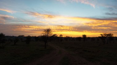 Huzurlu bir günbatımı güzel çizer engin bir akşam gökyüzünü sakin bir ovanın üzerinde siluetli ağaçlarla.