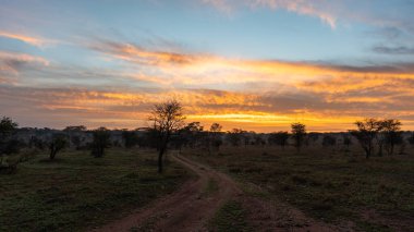 Çarpıcı bir gün doğumu, dolambaçlı toprak bir yol boyunca sakin bir kırsal araziye serengeti Tanzanya Afrika 'yı keşfetmeye davet eden sıcak bir ışık saçıyor.