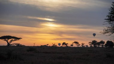 Afrika 'nın güneşin doğuşunun güzelliğini yaşayın. Sıcak hava balonlarında yüzerken engin savanada Serengeti Tanzanya Afrika üzerinde.