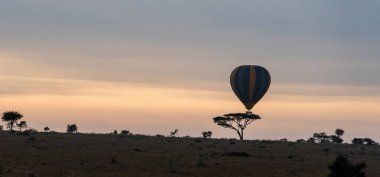 Canlı bir sıcak hava balonu engin savananın üzerinde zarif bir şekilde yükselir ve nefes kesici bir Afrika gündoğumu ortaya çıkarır.