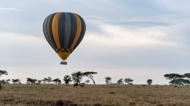 Canlı bir sıcak hava balonu savananın üzerinde süzülür ve Serengeti Tanzanya Afrika 'sının özünü güzelce yakalar.