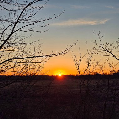 Şaşırtıcı derecede güzel bir gün batımı dallar tarafından zarif çerçevelenmiş, Hannover Langenhagen gökyüzünde canlı ve zengin renkler sergiliyor.