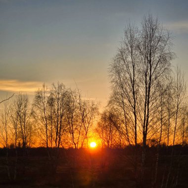 Çıplak ağaçlar tarafından çerçevelenmiş şaşırtıcı derecede güzel bir günbatımı, Hannover Langenhagen 'ın doğasında huzur ve sükunet hissi uyandırıyor.