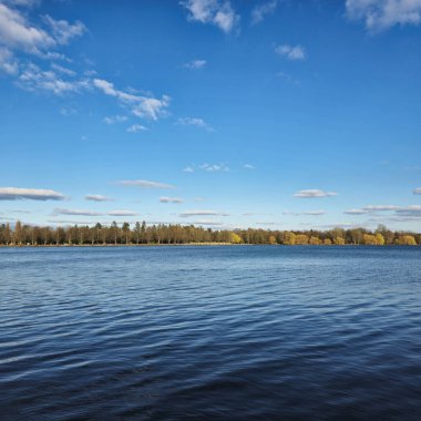 Güzel bir gölün sakin ve sakin bir sahnesi masmavi gökyüzünü yansıtıyor, yemyeşil ağaçlarla çevrili Maschsee Hannover