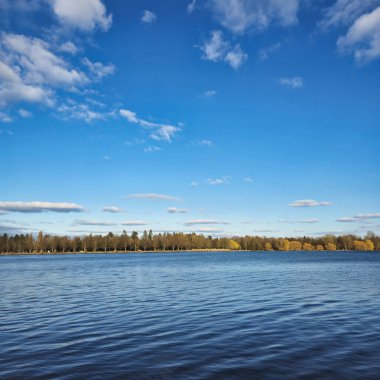 Bereketli ağaçlar ve parlak mavi gökyüzü ile sakin bir göl manzarası. Rahatlamak ve gevşemek için ideal Maschsee Hannover.