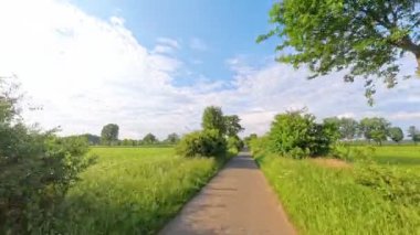 Yeşillik ve açık mavi gökyüzü ile çevrili şaşırtıcı derecede güzel bir kırsal yol. Hannover Isernhagen Wietzepark.