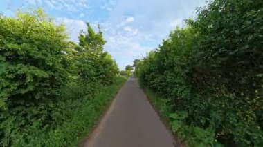 Sakin bir patika, canlı tarlalar ve gür ağaçlar arasında zarif bir şekilde dolaşarak Hannover Isernhagen Wietzepark 'ı açık hava aktiviteleri için mükemmel hale getirir.