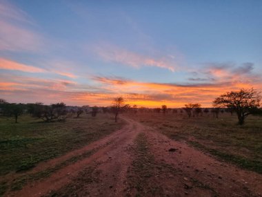 Güzel bir günbatımı gökyüzünü renklendirirken, sarmal bir yol huzurlu ve çarpıcı bir manzara boyunca akar Serengeti Tanzanya Afrika