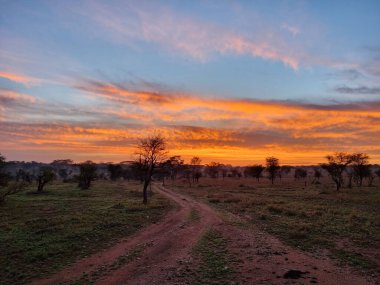 Huzurlu ve sakin bir günbatımı açık arazide canlı ve güzel renkler bırakır ve dolambaçlı toprak bir yol olan Serengeti Tanzanya Afrika 'da