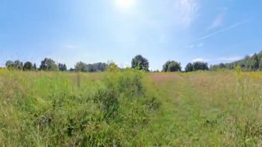 Nefes kesici manzara, parlak mavi bir Hannover 'ın altında canlı kır çiçekleriyle bezenmiş yemyeşil bir çayırı gözler önüne seriyor.