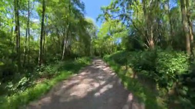 Berrak ve huzurlu bir toprak yol. Berrak mavi bir Hannover 'ın altında yemyeşil bir yer.