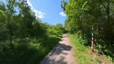 Etrafı güzel canlı ağaçlarla ve açık mavi gökyüzüyle çevrili harika sakin bir yol keşfet.