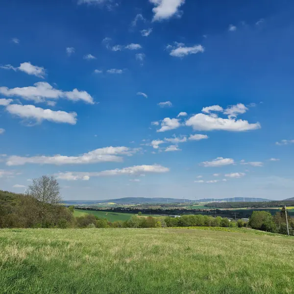 Tüylü beyaz bulutlarla bezenmiş berrak mavi gökyüzünün altında uzanan yemyeşil alanlar sergilenen sakin bir manzara.
