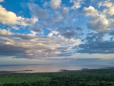 Çarpıcı bir gökyüzünün altında sakin bir deniz manzarasıyla harmanlanmış nefes kesici ve çarpıcı bir yeşillik manzarası.
