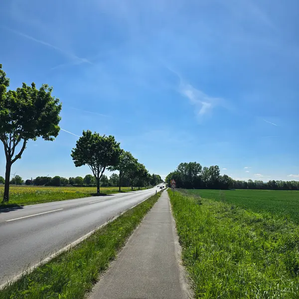 Ağaçlarla kaplı sakin bir köy yolu berrak mavi gökyüzünün altındaki canlı yeşil bir araziye çıkıyor. Wunstorf