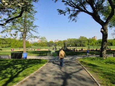 Bir adam asfalt bir yolda ağaçlar, çimenler ve açık gökyüzü altında New York City USA ile çevrili parkın doğal manzarasında rahatça geziniyor.