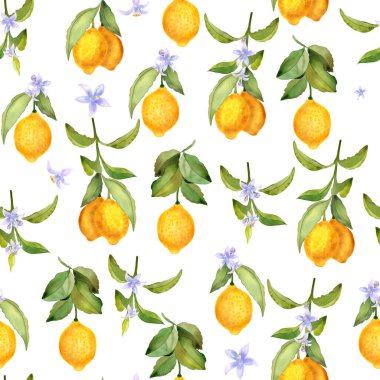 Dallardaki limon meyveleri ve çiçekler suluboya, pürüzsüz desen. Duvar kâğıdı ve kumaş için çiçek açan narenciye dallarıyla sonsuz bir arka plan. Yaz el çizimi Akdeniz baskısı.
