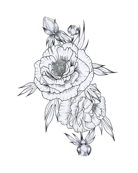Peonie Bianco Nero Bouquet Grafico Disegnato Mano Sfondo Isolato Disposizione — Foto Stock