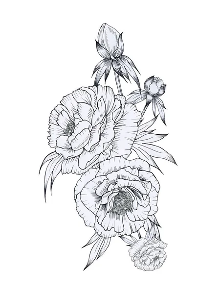 Peonie Bianco Nero Bouquet Grafico Disegnato Mano Sfondo Isolato Disposizione — Foto Stock