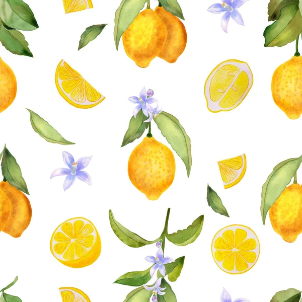 Lemon Fruits Branch Slices Watercolor Seamless Pattern Endless Hand Drawn — Stock Photo, Image