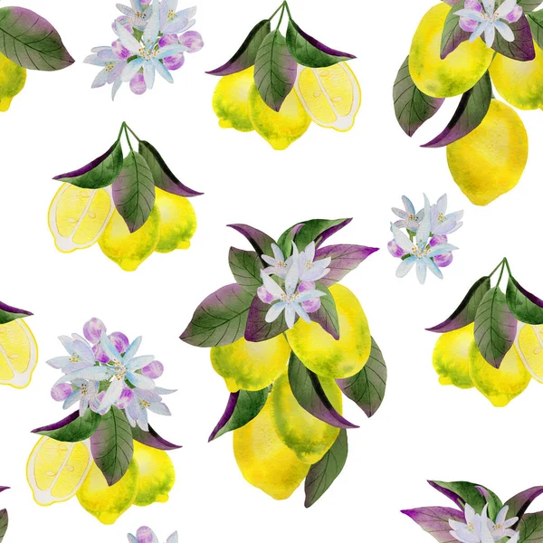 Limoni Rami Fiori Acquerello Modello Agrumi Giallo Frutta Disegnato Mano — Foto Stock