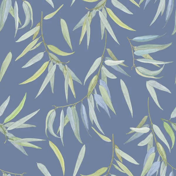 Eucalyptus Branches Leaves Seamless Pattern Hand Drawn Illustration Medicinal Tree — Stock Photo, Image