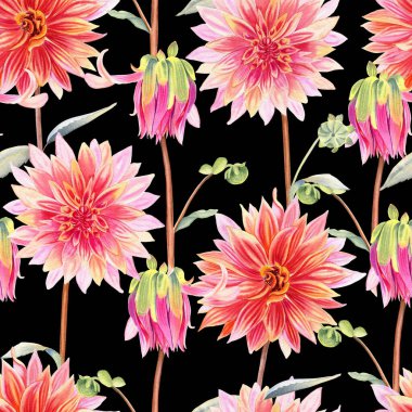 Suluboya yıldız çiçekleri dikişsiz desen. Büyük pembe mercan çiçekleri. Kumaş ve duvar kağıtları için sonsuz arka plan. Zarif renkler botanik arka planı. El çizimi gerçekçi illüstrasyon.