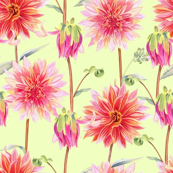 Aquarel Dahlia Aquarel Naadloos Patroon Grote Roze Koraal Bloemen Eindeloze — Stockfoto