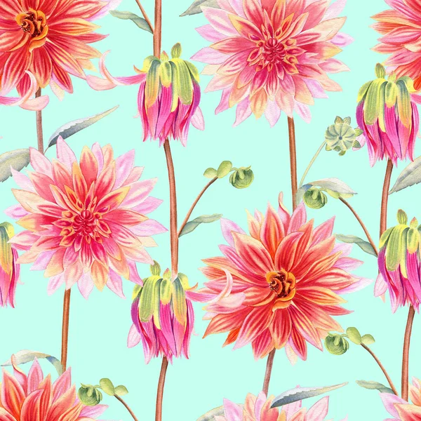 Aquarel Dahlia Aquarel Naadloos Patroon Grote Roze Koraal Bloemen Eindeloze — Stockfoto