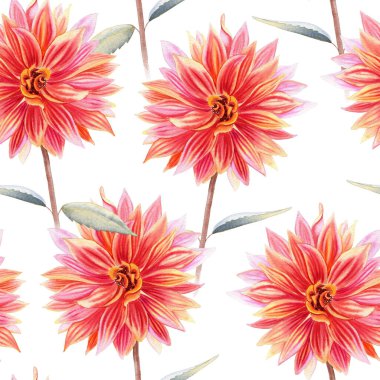Suluboya yıldız çiçekleri dikişsiz desen. Büyük pembe mercan çiçekleri. Kumaş ve duvar kağıtları için sonsuz arka plan. Zarif renkler botanik arka planı. El çizimi gerçekçi illüstrasyon.