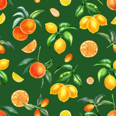 Turunçgiller suluboya desenli. İzole bir arka planda el yapımı limon, portakal ve kumkat. Kumaş ve duvar kağıtları için sonsuz süs. Tropik yaz baskısı.