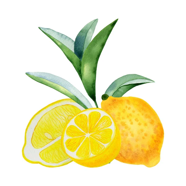Yellow Ripe Lemons Leaves Watercolor Composition Hand Drawn Citrus Fruits — Stock Photo, Image