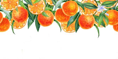 Bir dalda portakallar ve dikişsiz suluboya kenarları dilimler. Yapraklı el yapımı narenciye meyvesi. Sonsuz meyve bayrağı. Paketleme ve kartpostal tasarımı için. Davetiyeler için arkaplan.