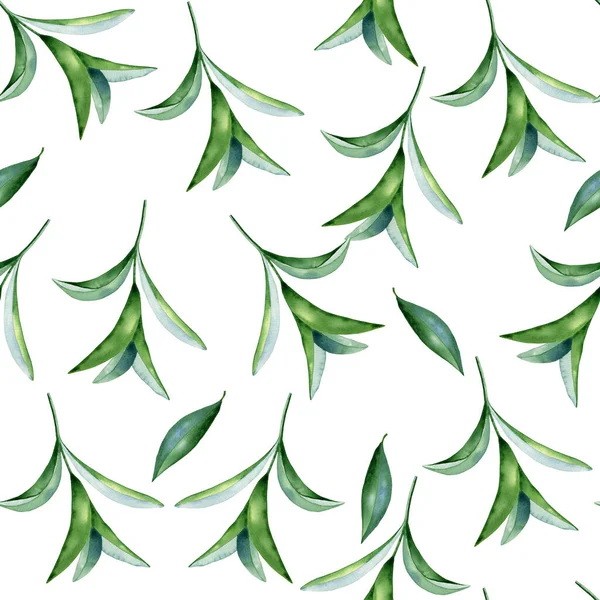 Зелені Акварельні Гілки Листям Безшовного Візерунка Нескінченний Рослинний Фон Рука — стокове фото