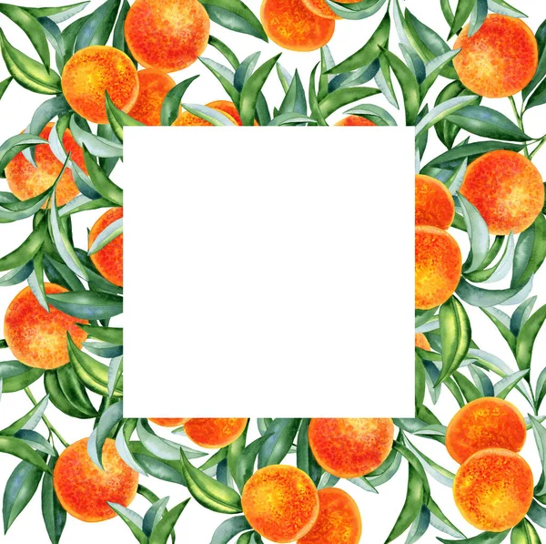 Orange Fruit Branch Frame Hand Drawn Watercolor Illustration Citrus Fruits — Stock Photo, Image